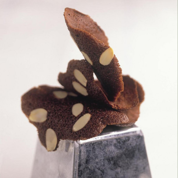 tuiles au chocolat et aux amandes