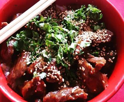 Yakinikudon au miel 