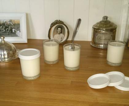 Yaourts au lait de coco