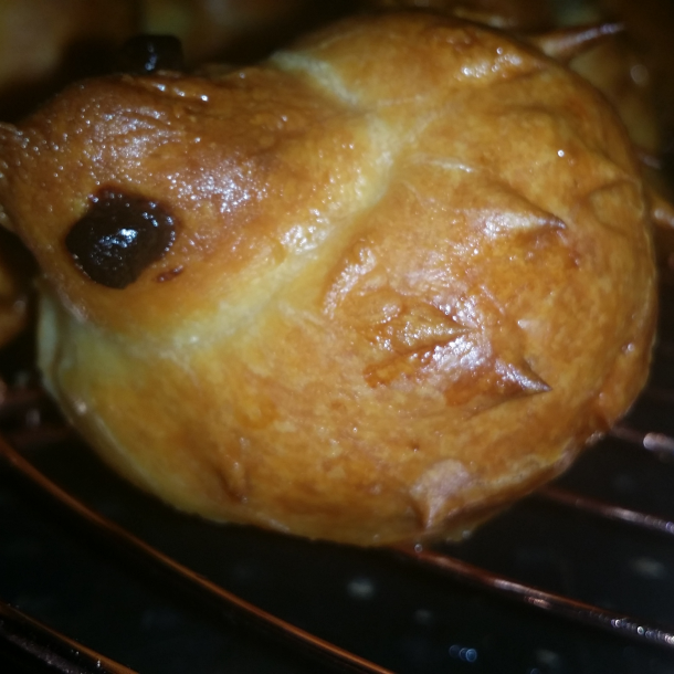 Zhavoronki ou brioches russes